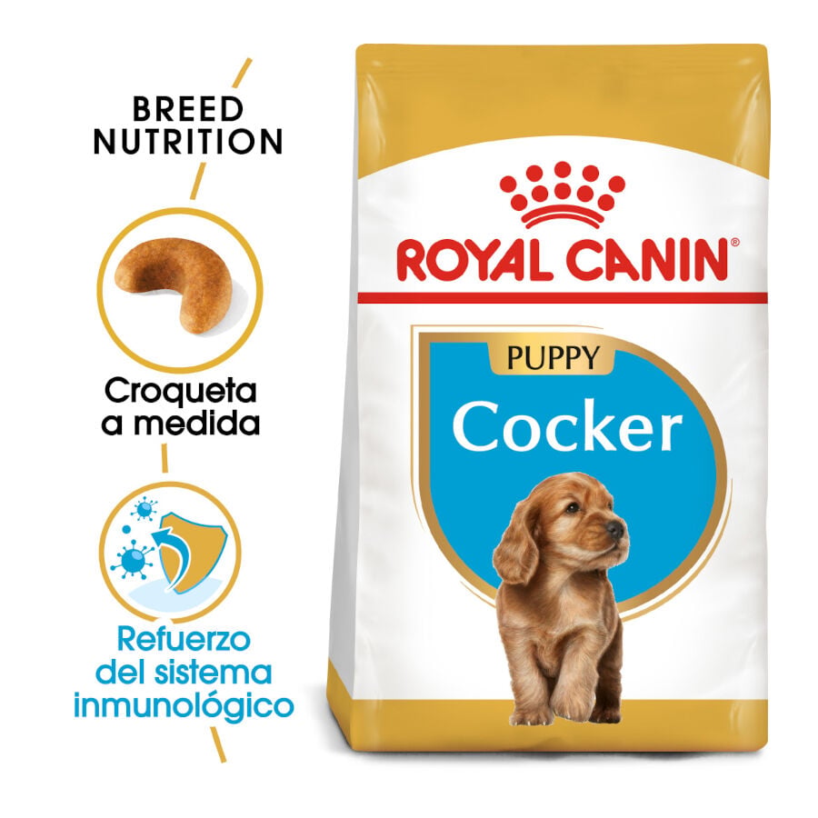 3 kg Royal Canin Puppy Cocker pienso para perros, , large indicador imagen numero 2